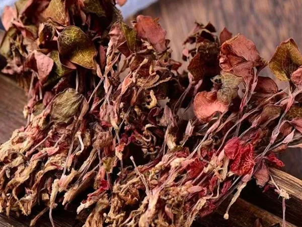يصل Anoectochilus Roxburghii المجفف عالي الجودة إلى الأسواق المتخصصة